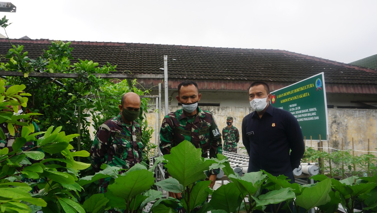 Dandim 0734/ Yogyakarta : Pemanfaatan Lahan Kosong Solusi Cerdas Di Saat Pandemi Covid 19
