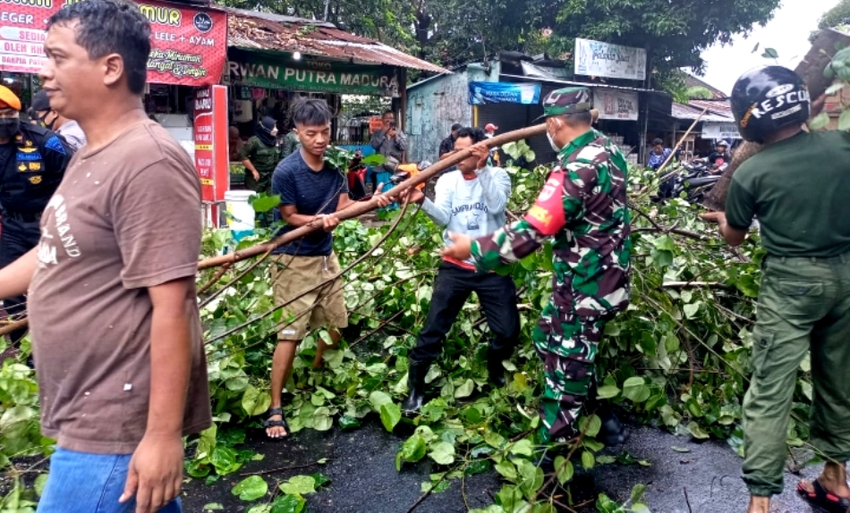 Kodim Kota Yogyakarta Bersama Warga Babinsa Koramil Danurejan Bersihkan Pohon Tumbang