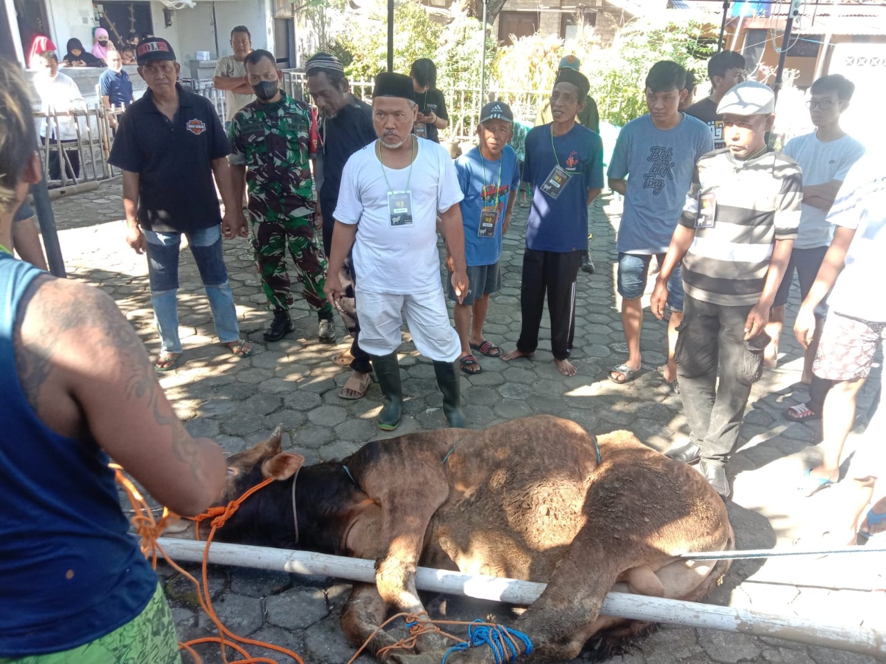 Babinsa Dan Lurah Tegal Panggung Pantau Penyembelihan Hewan Qurban