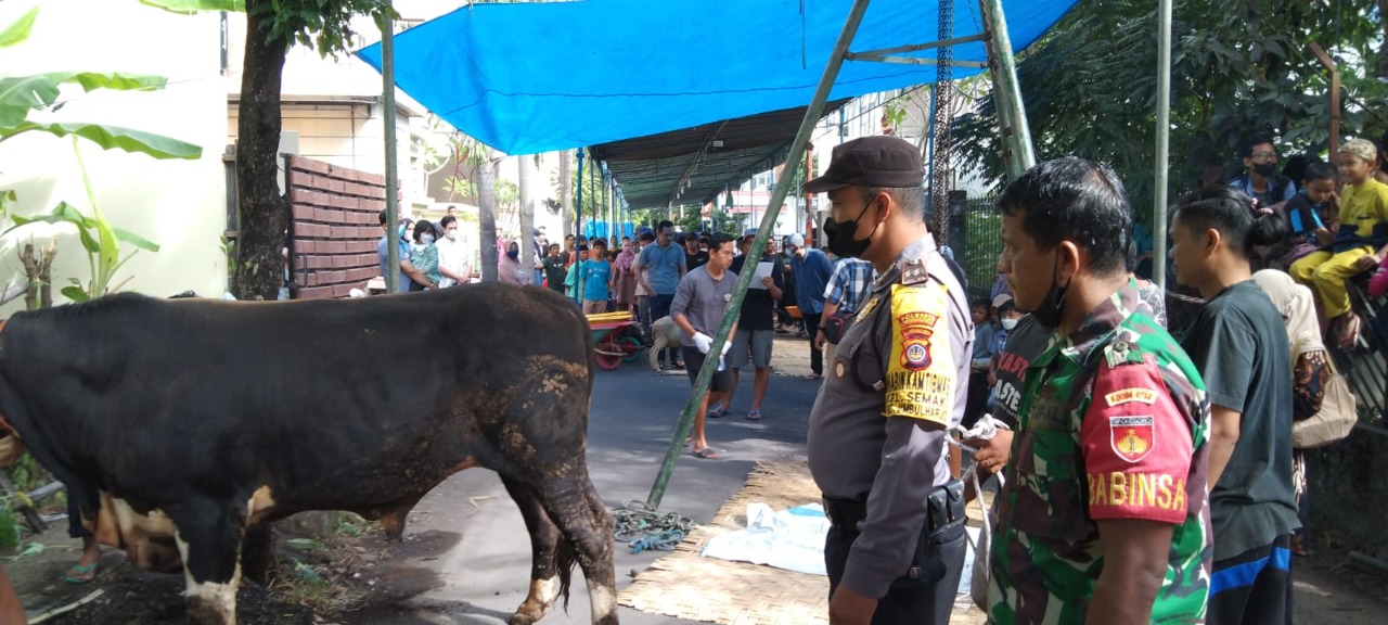 Babinsa dan Bhabinkamtibmas Melaksanakan Pemantauan Penyembelihan Hewan Qurban